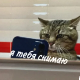 Sticker Я ахуел что можно токо 60 - 1