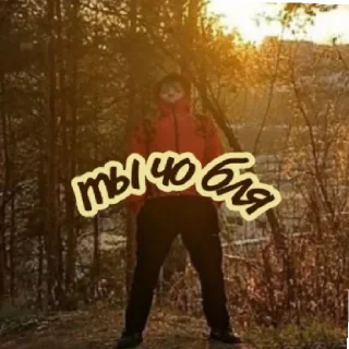 Sticker Я ахуел что можно токо 60 - 0