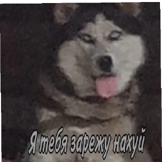 Sticker Я ахуел что можно токо 60 - 10