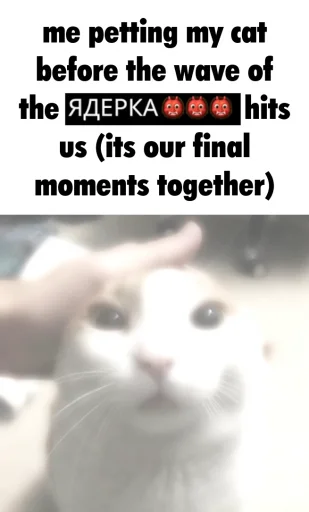 СМС животное млекопитающее