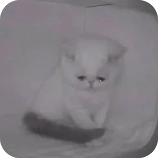 Sticker Я хз тут вообще всякая хуйня - 10