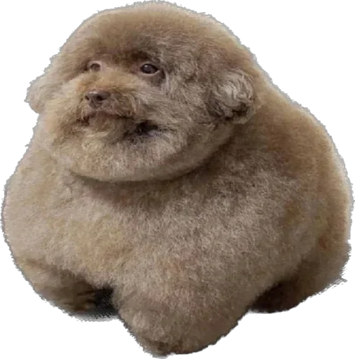 Больше стиков тут: @stikeryk - 