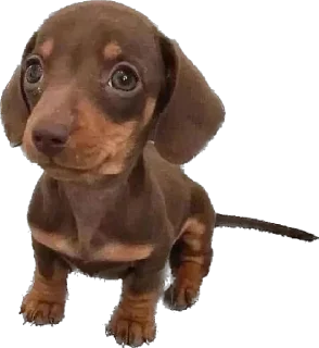 Sticker Больше стиков тут: @stikeryk - 0