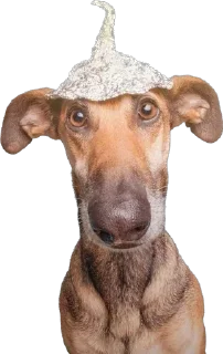 Sticker Больше стиков тут: @stikeryk - 5