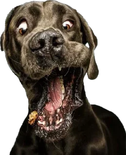 Sticker Больше стиков тут: @stikeryk - 6