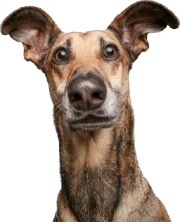 Sticker Больше стиков тут: @stikeryk - 10