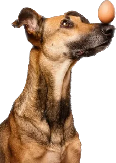 Sticker Больше стиков тут: @stikeryk - 1