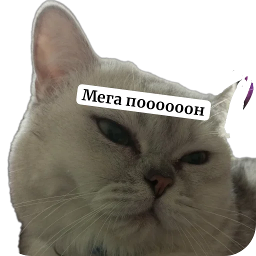 Стикер YANeOtch - 1