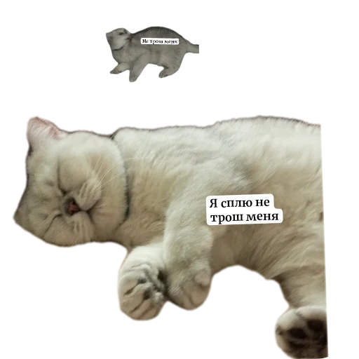 Sticker YANeOtch - 1