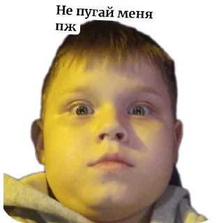 Стикер Чг и коты ну и нокиа 3310 - 11