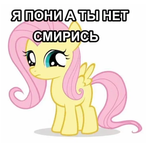 Я пони а ты нет смирись - 