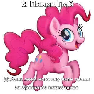 Sticker Я пони а ты нет смирись - 1