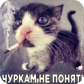 Sticker фимоз @Nik113939 - 2