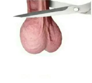 Стикер literallyfucku - 5