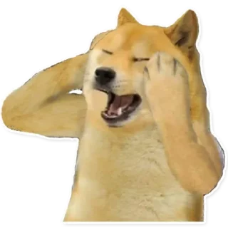 Стикер YASSP - 10