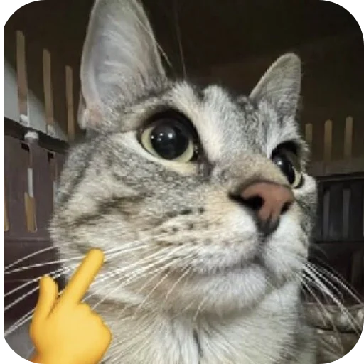 Sticker YA_Oleg1 - 1