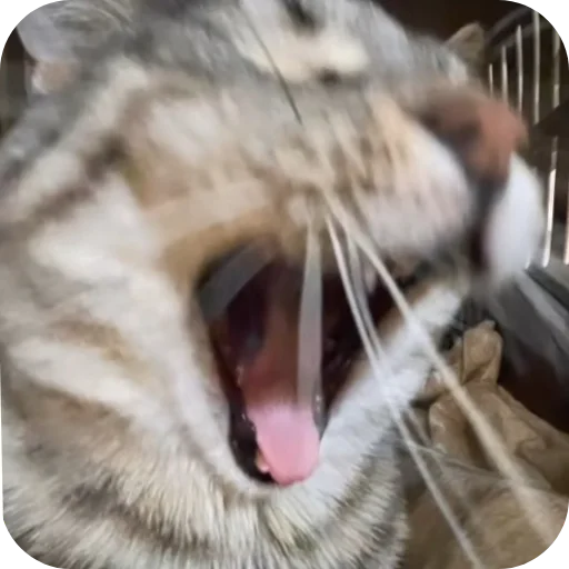 Sticker YA_Oleg1 - 1