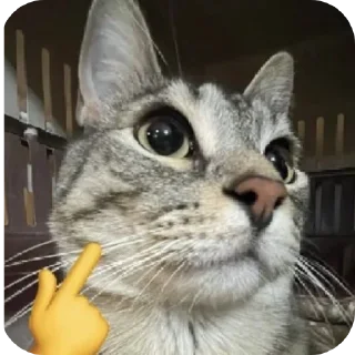 Стикер Я Олег - 5