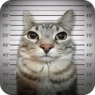 Стикер Я Олег - 11