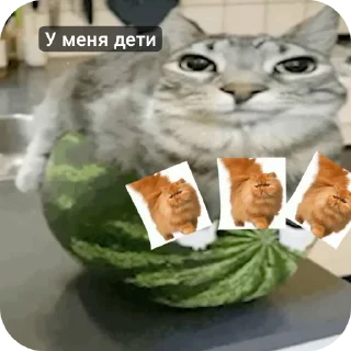 Стикер Я Олег - 1