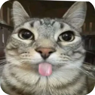 Стикер Я Олег - 6