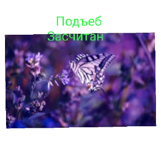 Стикер Я бабочка - 4