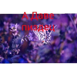 Стикер Я бабочка - 1