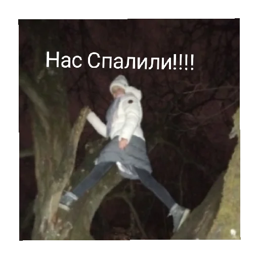 Sticker Я права bich - 5