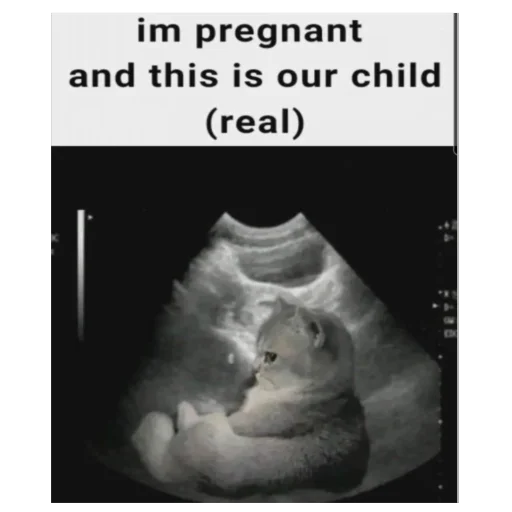 Стикер YAebalvrot64 - 1