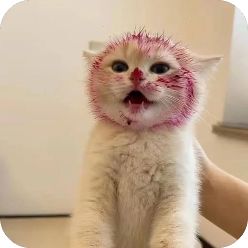 Стикер YAebalvrot64 - 1