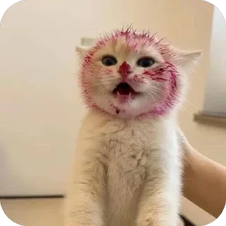 Sticker Яебалврот - 8