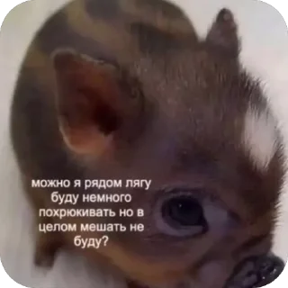 Sticker Яебалврот - 4