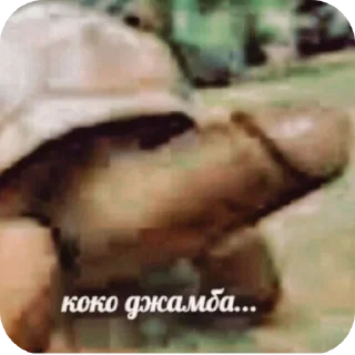 Sticker @Pe4enka999(ЯэБаал) - 10