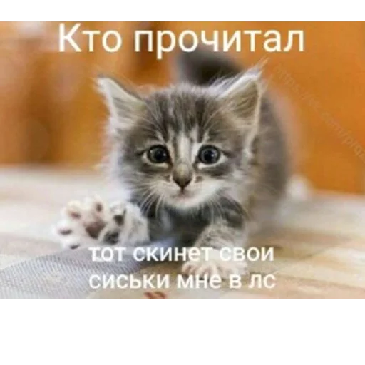 ЯиБанушка)) - 