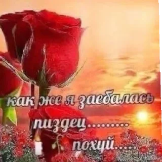 Sticker ЯиБанушка)) - 10