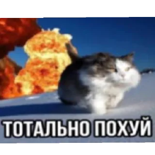 Sticker ЯиБанушка)) - 7