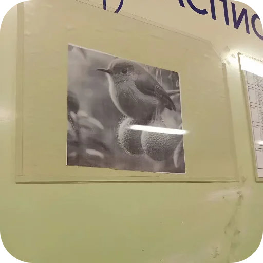 Стикер YAjcaSinicy3 - 1