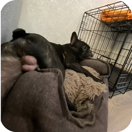 Стикер YAjcaSinicy3 - 1