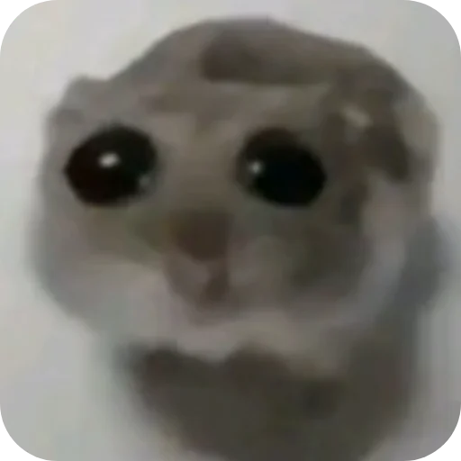 Sticker YApidoras698 - 1