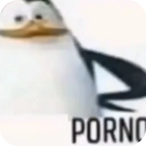 Sticker YApidoras698 - 1