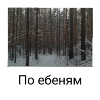 Sticker Яшкенц - 9