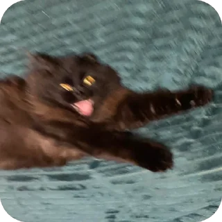 Стикер Яяяч - 7