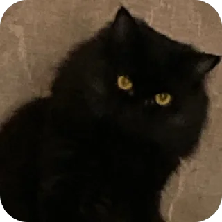 Стикер Яяяч - 10