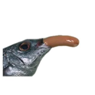 Sticker Язь на колобок - 9