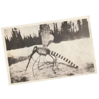 Sticker Язь на колобок - 1