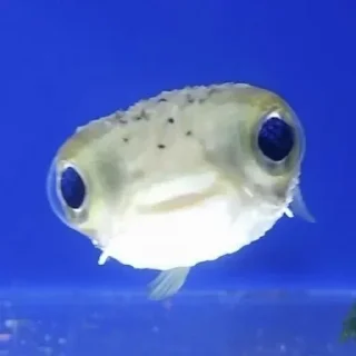 Sticker Больше стикеров 👉🏻 @stickertg4 - 0