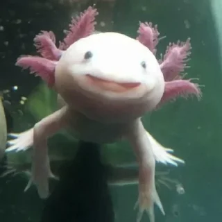 Sticker Больше стикеров 👉🏻 @stickertg4 - 10