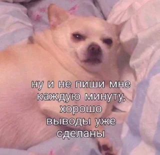 Стикер Больше стиков тут: @stikery4 - 9