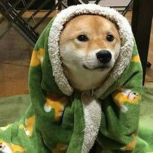 Стикер Больше стиков тут: @stikery4 - 7