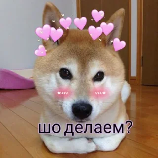 Стикер Больше стиков тут: @stikery4 - 6